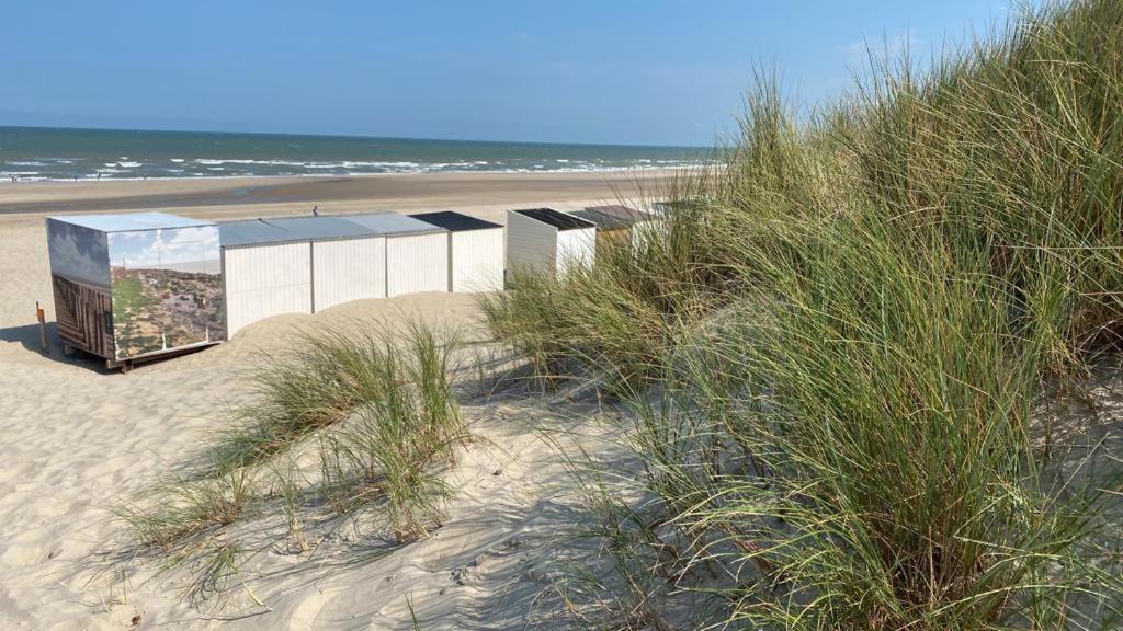 Strandhotel Dennenbos Oostkapelle Extérieur photo